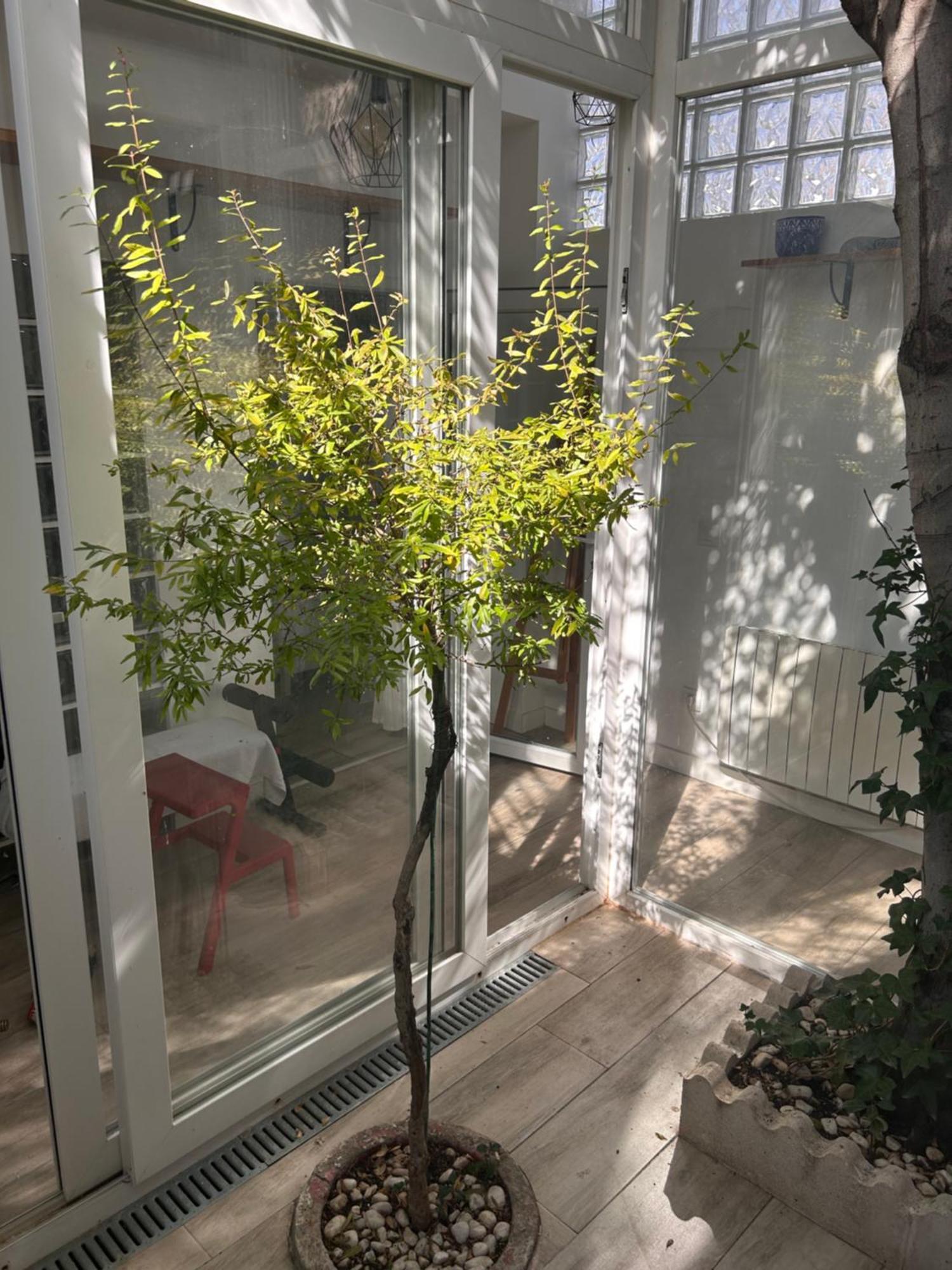 Casa Rustica En Madrid Recien Reformada Villa ภายนอก รูปภาพ